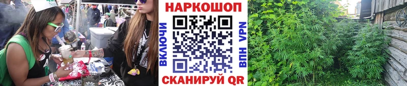 Где купить наркоту Оса Alpha-PVP  Мефедрон  MDMA  Каннабис  гидра ссылка  Гашиш 