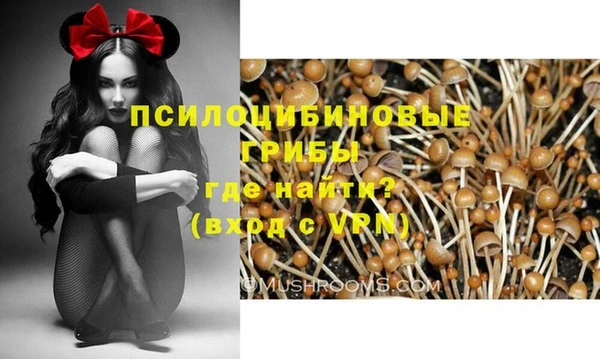 Альфа ПВП Заводоуковск
