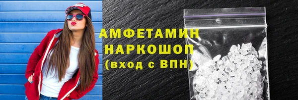 мдпв Ельня