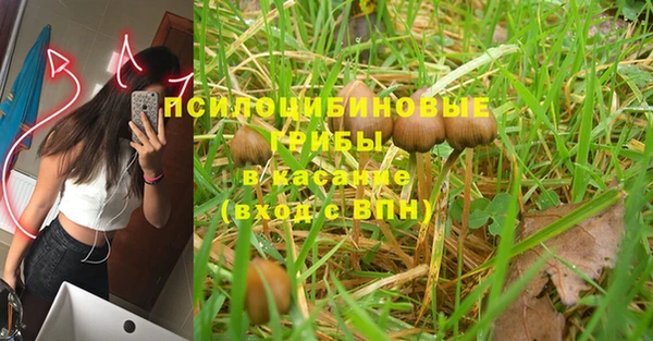 Альфа ПВП Заводоуковск