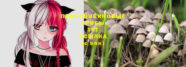 MESCALINE Заволжск